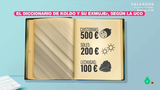 El diccionario de Koldo y su exmujer para referirse al dinero según la UCO El diccionario de Koldo y su exmujer para referirse al dinero según la UCO