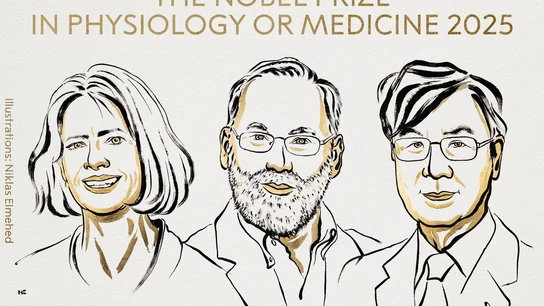 Mary E. Brunkow, Fred Ramsdell y Shimon Sakaguchi, los galardonados con el Premio Nobel de Medicina 2025 Mary E. Brunkow, Fred Ramsdell y Shimon Sakaguchi, los galardonados con el Premio Nobel de Medicina 2025