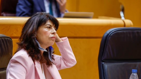 La ministra de Igualdad, Ana Redondo, interviene durante el pleno del Senado La ministra de Igualdad, Ana Redondo, interviene durante el pleno del Senado