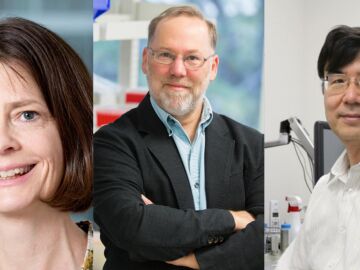 Mary Brunkow, Fred Ramsdell y Shimon Sakaguchi