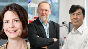 Mary Brunkow, Fred Ramsdell y Shimon Sakaguchi