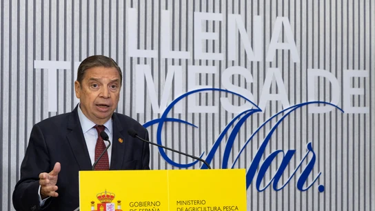 El ministro de Agricultura, Pesca y Alimentación, Luis Planas El ministro de Agricultura, Pesca y Alimentación, Luis Planas