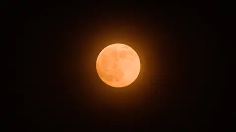 Luna de Cosecha en la India Luna de Cosecha en la India
