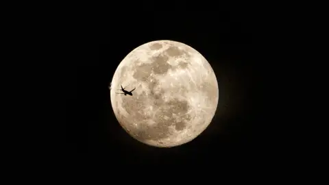 Luna de Cosecha en Indonesia Luna de Cosecha en Indonesia