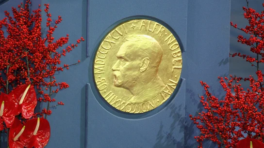 Una placa en recuerdo a Alfred Nobel en la ceremonia de entrega del Premio Nobel de la Paz de 2008 en el Ayuntamiento de Oslo (Noruega) Una placa en recuerdo a Alfred Nobel en la ceremonia de entrega del Premio Nobel de la Paz de 2008 en el Ayuntamiento de Oslo (Noruega)