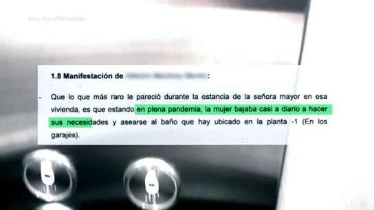 "Isabel deambulaba en paños menores por el garaje": los impactantes testimonios de los vecinos de Arancha Palomino y Luis Lorenzo "Isabel deambulaba en paños menores por el garaje": los impactantes testimonios de los vecinos de Arancha Palomino y Luis Lorenzo