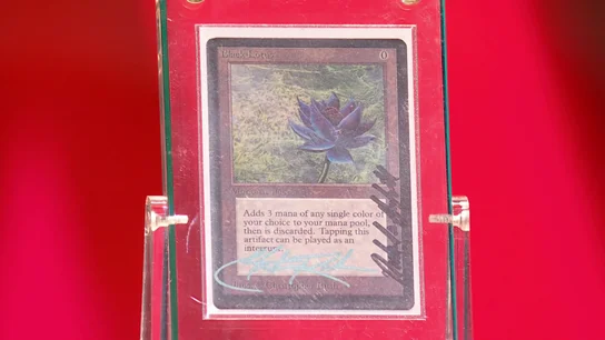 El poder de la 'Black Lotus': así reaccionan María José y Sonsoles al perder 50.000 euros por una carta Magic El poder de la 'Black Lotus': así reaccionan María José y Sonsoles al perder 50.000 euros por una carta Magic