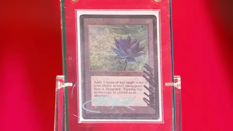 El poder de la 'Black Lotus': así reaccionan María José y Sonsoles al perder 50.000 euros por una carta Magic El poder de la 'Black Lotus': así reaccionan María José y Sonsoles al perder 50.000 euros por una carta Magic
