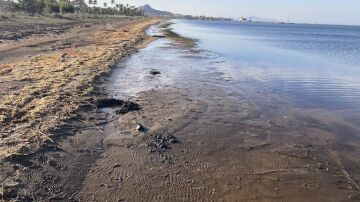 Mar Menor
