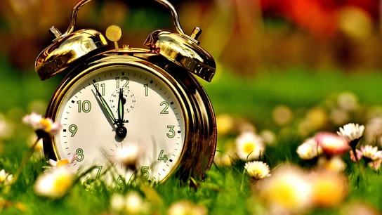 Reloj despertador sobre la hierba Reloj despertador sobre la hierba