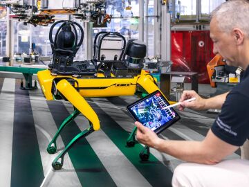 As&iacute; es el &laquo;perro&raquo; que Mercedes tiene en su f&aacute;brica de Dusseldorf como un empleado m&aacute;s