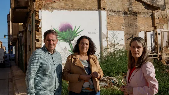 Los presidentes de las principales asociaciones de víctimas y afectados de la DANA: Rosa Álvarez, Christian Lesaec y Mariló Gradolí. Los presidentes de las principales asociaciones de víctimas y afectados de la DANA: Rosa Álvarez, Christian Lesaec y Mariló Gradolí.