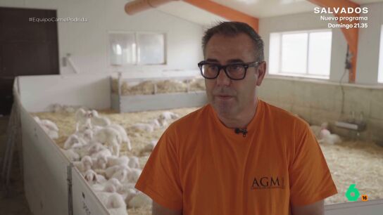 El lamento de un ganadero al ver im&aacute;genes de varios mataderos ilegales: "Se me est&aacute;n poniendo los pelos de punta"