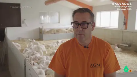 El lamento de un ganadero al ver imágenes de varios mataderos ilegales: "Se me están poniendo los pelos de punta" El lamento de un ganadero al ver imágenes de varios mataderos ilegales: "Se me están poniendo los pelos de punta"