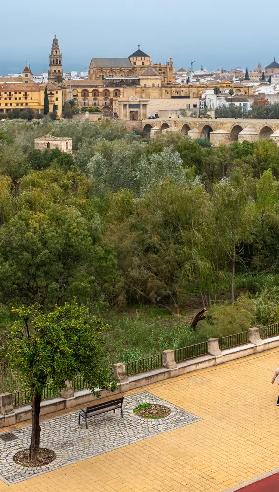Vistas al monumento natural Sotos de la Albolafia, el puente romano y la mezquita catedral de Córdoba Vistas al monumento natural Sotos de la Albolafia, el puente romano y la mezquita catedral de Córdoba