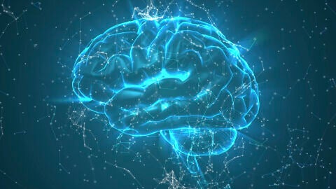 Simulación de cerebro