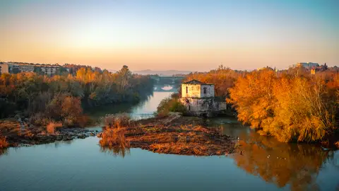 Sotos de la Albolafia en el río Guadalquivir en Córdoba Sotos de la Albolafia en el río Guadalquivir en Córdoba
