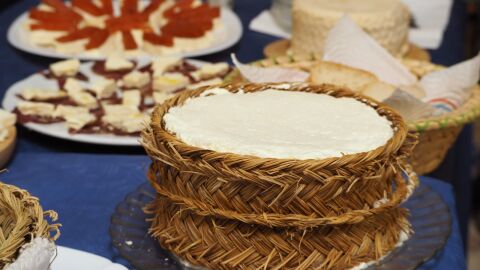 Queso Xinestosu