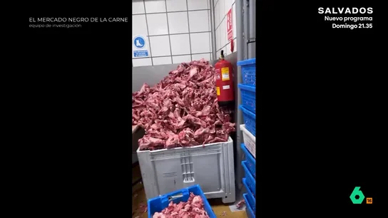El testimonio de una inspectora policial sobre el estado de la nave de una empresa cárnica: "Se llegó a encontrar excremento de roedor" El testimonio de una inspectora policial sobre el estado de la nave de una empresa cárnica: "Se llegó a encontrar excremento de roedor"