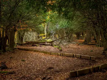 Tejeda de Tosande Tejeda de Tosande