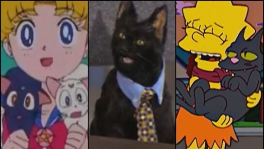 Los gatos negros en la ficci&oacute;n