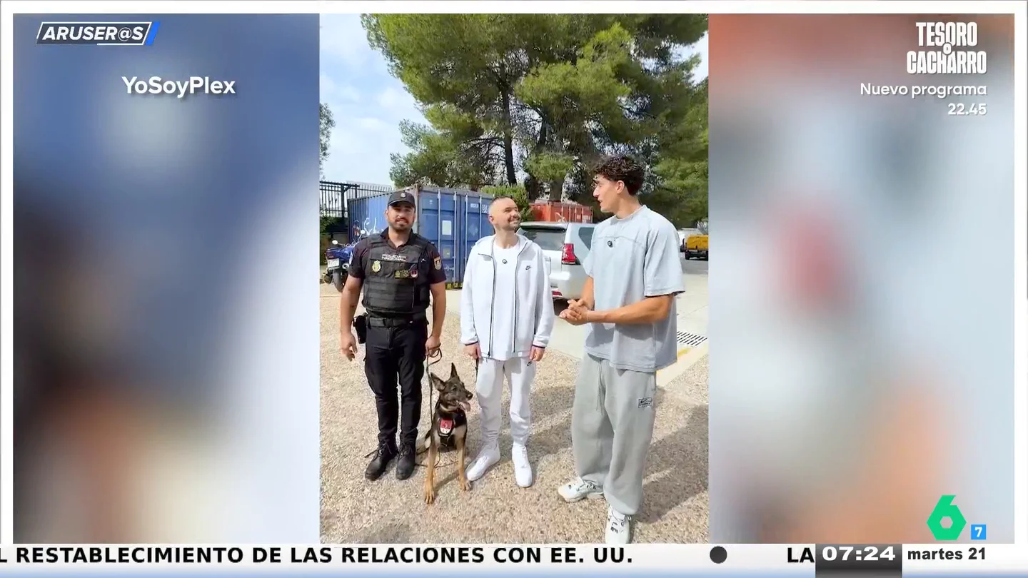 "Cómo se nota que sabes": la divertida 'pullita' de Plex a Xokas en su reto con un perro policía "Cómo se nota que sabes": la divertida 'pullita' de Plex a Xokas en su reto con un perro policía