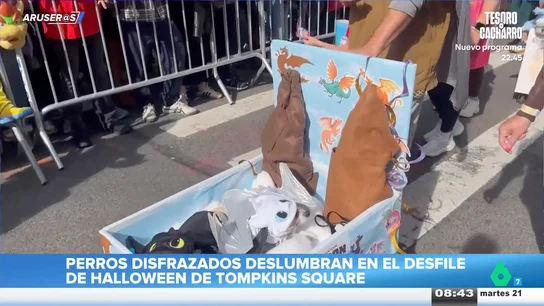 Desfile 'perruno' de Halloween de Nuev York: estos son los disfraces más originales y divertidos Desfile 'perruno' de Halloween de Nuev York: estos son los disfraces más originales y divertidos