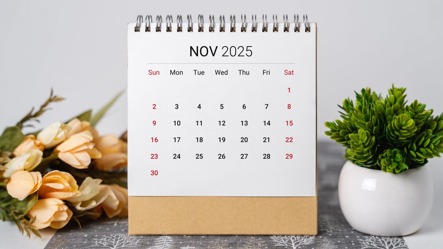 Calendario de noviembre de 2025