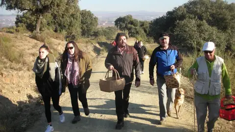 Grupo saliendo para recolectar setas en Coria Grupo saliendo para recolectar setas en Coria