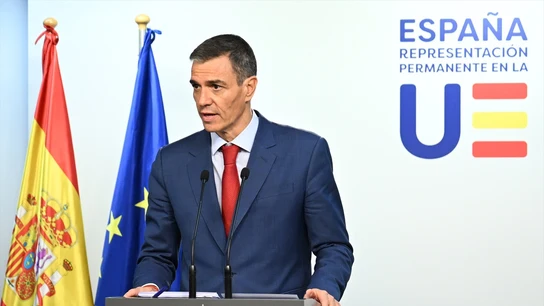 El presidente del Gobierno, Pedro Sánchez. El presidente del Gobierno, Pedro Sánchez.