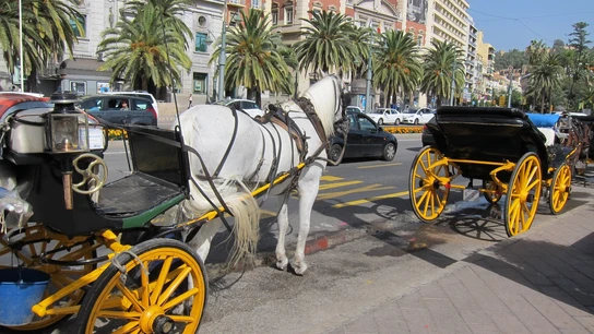 Imagen de archivo de coches de caballo.  Imagen de archivo de coches de caballo.