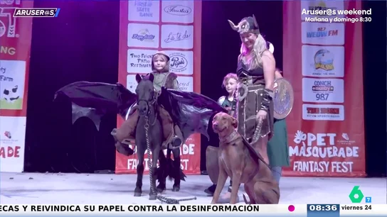 Estos son los disfraces más mágicos del desfile de mascotas del Fantasy Fest, en Florida Estos son los disfraces más mágicos del desfile de mascotas del Fantasy Fest, en Florida
