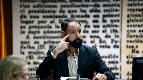El exgerente del PSOE, Mariano Moreno, en la comisión del Senado sobre el caso Koldo. El exgerente del PSOE, Mariano Moreno, en la comisión del Senado sobre el caso Koldo.