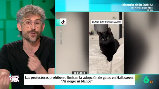 Víctor Algra explica por qué se limitan las adopciones de gatos negros y blancos en Halloween, en vídeo Muchas protectoras y ayuntamientos limitan las adopciones durante estos días como una medida para proteger a los animales. El veterinario explica, en el vídeo principal, qué motiva esta medida.