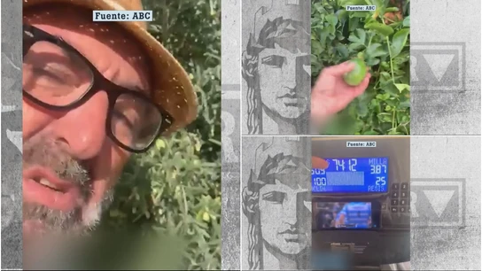 La nueva vida de Koldo García cultivando kiwis y frutas de la pasión: "No sé qué hacer, ¿las cojo ya o espero?" La nueva vida de Koldo García cultivando kiwis y frutas de la pasión: "No sé qué hacer, ¿las cojo ya o espero?"