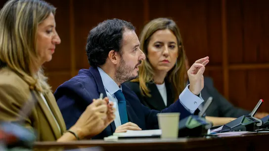 El senador popular y uno de los portavoces de la comisión de investigación del caso Koldo, Alejo Miranda.  El senador popular y uno de los portavoces de la comisión de investigación del caso Koldo, Alejo Miranda.
