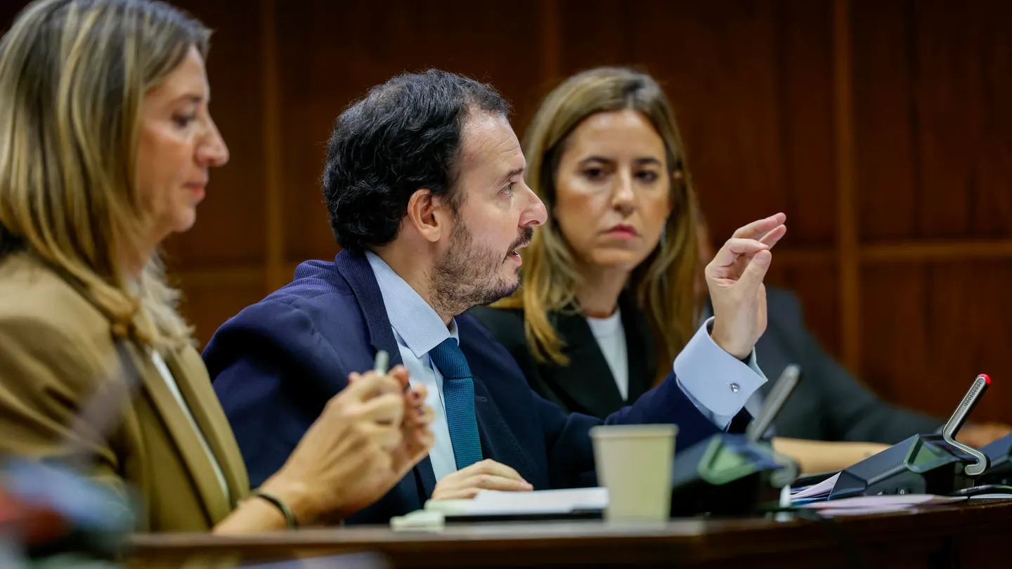 El senador popular y uno de los portavoces de la comisión de investigación del caso Koldo, Alejo Miranda. El senador popular y uno de los portavoces de la comisión de investigación del caso Koldo, Alejo Miranda.