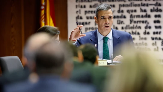 El presidente del Gobierno, Pedro Sánchez, durante su comparecencia en el Senado en la comisión por el caso Koldo El presidente del Gobierno, Pedro Sánchez, durante su comparecencia en el Senado en la comisión por el caso Koldo