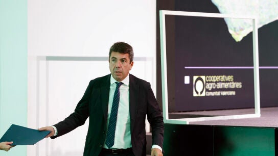 Carlos Maz&oacute;n, president de la Comunitat Valenciana