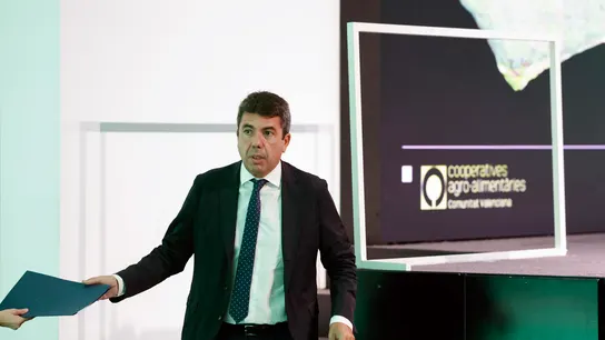 Carlos Mazón, president de la Comunitat Valenciana Carlos Mazón, president de la Comunitat Valenciana