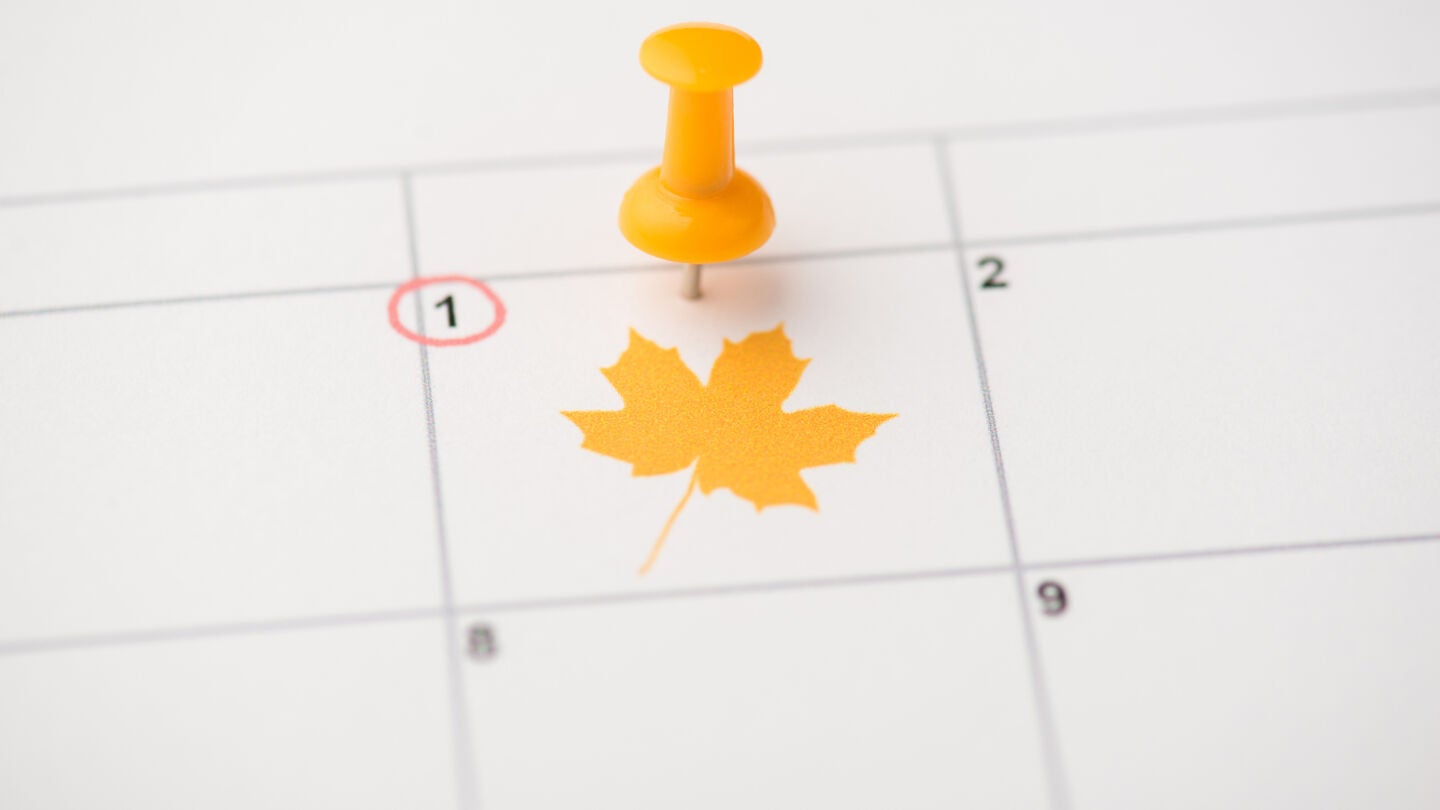 Calendario 1 de noviembre