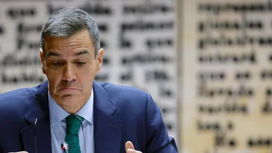 Pedro Sánchez en la comisión de investigación del caso Koldo en el Senado Pedro Sánchez en la comisión de investigación del caso Koldo en el Senado