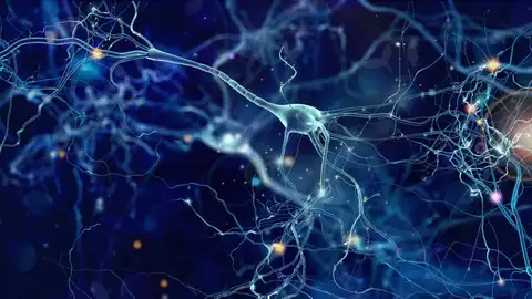 Neuronas Neuronas