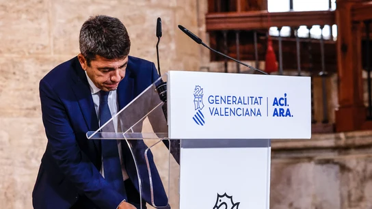 El president de la Generalitat, Carlos Mazón, durante una declaración institucional en el Palau El president de la Generalitat, Carlos Mazón, durante una declaración institucional en el Palau