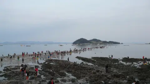 Jindo y Modo, en Corea del Sur Jindo y Modo, en Corea del Sur