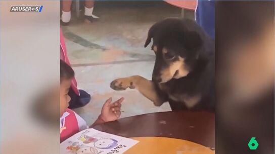 La emotiva historia de la perrita que supera la depresi&oacute;n gracias a la compa&ntilde;&iacute;a de ni&ntilde;os en la escuela