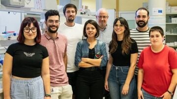 Investigadores desarrollan nanomotores que usan glucosa para liberar fármacos directamente en tumores