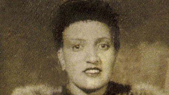 Un retrato de Henrietta Lacks. Un retrato de Henrietta Lacks.