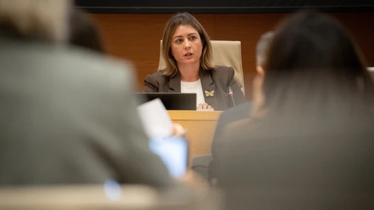 Verónica Vicent Baquero comparece durante la Comisión de Investigación de la DANA en el Congreso. Verónica Vicent Baquero comparece durante la Comisión de Investigación de la DANA en el Congreso.