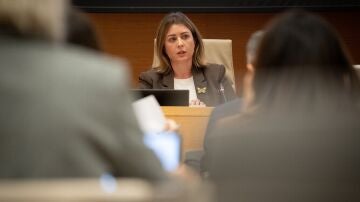 Ver&oacute;nica Vicent Baquero comparece durante la Comisi&oacute;n de Investigaci&oacute;n de la DANA en el Congreso.